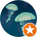 Makhai profile picture